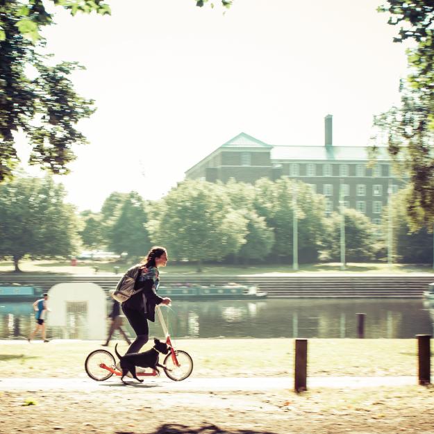 adult scooter, exercise scooter for adults, fitness scooter, scooter with big wheels