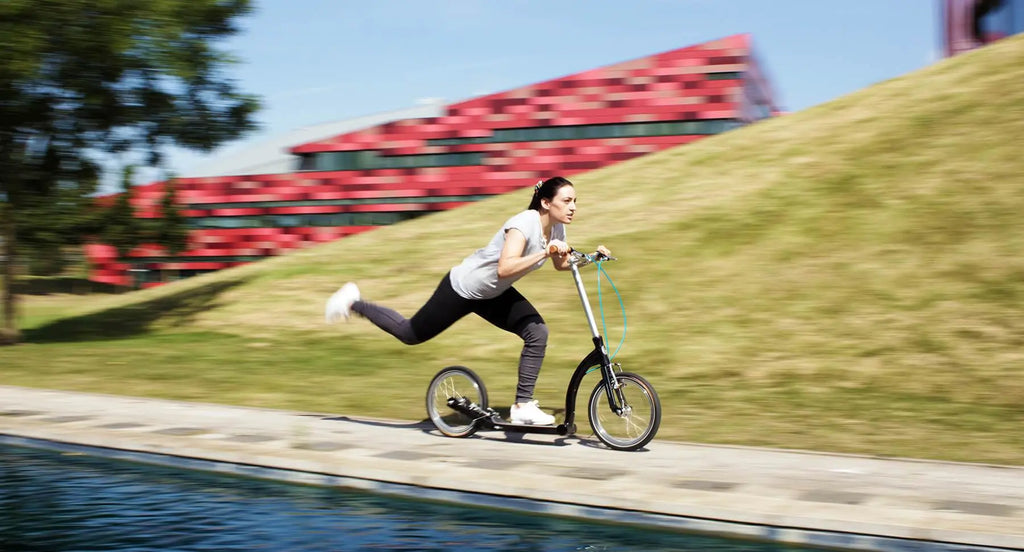 adult kick scooter, big wheel scooter, push scooter