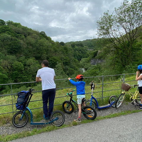 best adult scooters, kick scooter adult, heavy duty scooter for adults